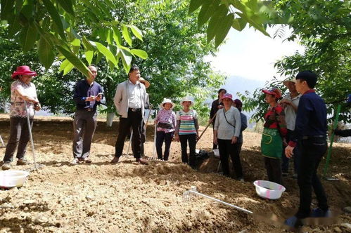 發(fā)展產(chǎn)業(yè) 助力脫貧 農(nóng)產(chǎn)品種植帶領(lǐng)群眾致富奔小康