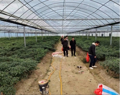 伍市鎮(zhèn) 多措并舉，織密織牢疫情防控期間水產(chǎn)養(yǎng)殖質(zhì)量安全網(wǎng)