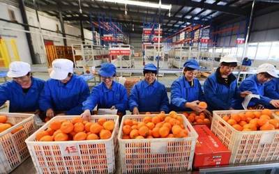 水產(chǎn)養(yǎng)殖賦能鄉(xiāng)村振興，湖北四企入選全國(guó)典型案例